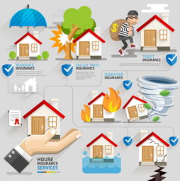 房屋保险信息图 全面解读与实用模板下载