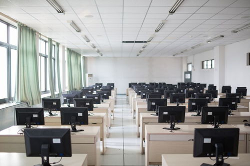 解读安玉良的创业观 信息产品与咨询服务对大学生自主创业的适配性探析